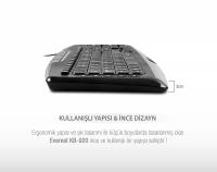 EVEREST KB-920 Siyah USB Full Boy Q Ofis 14 Multimadia Tuşlu Klavye